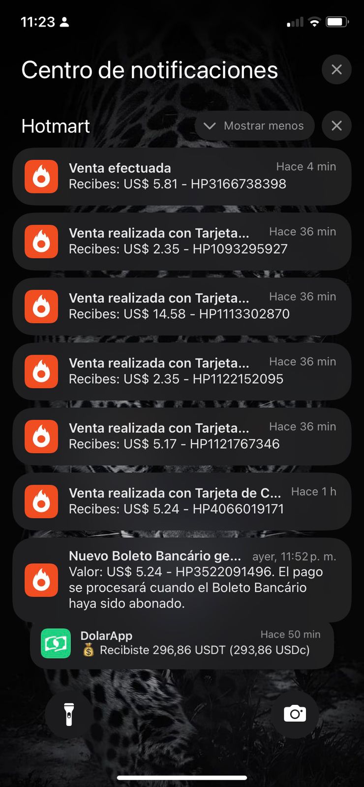 Notificación de venta real 7